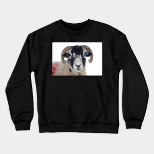 Swaledale Ewe in Snow Crewneck Sweatshirt